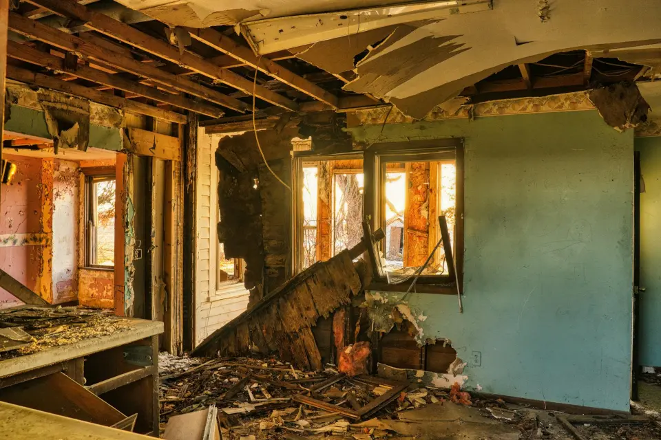 Royal Shield: Leading Mold Removal Company In Killeen — Killeen, TX